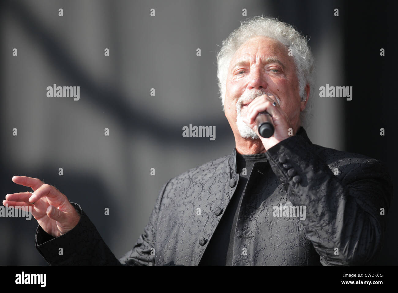 Tom jones v festival hires stock photography and images Alamy