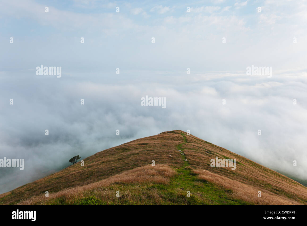 Cloud Inversion over Welsh countryside from Mynydd Troed, Brecon Beacons National Park. Powys. Wales. UK. Stock Photo