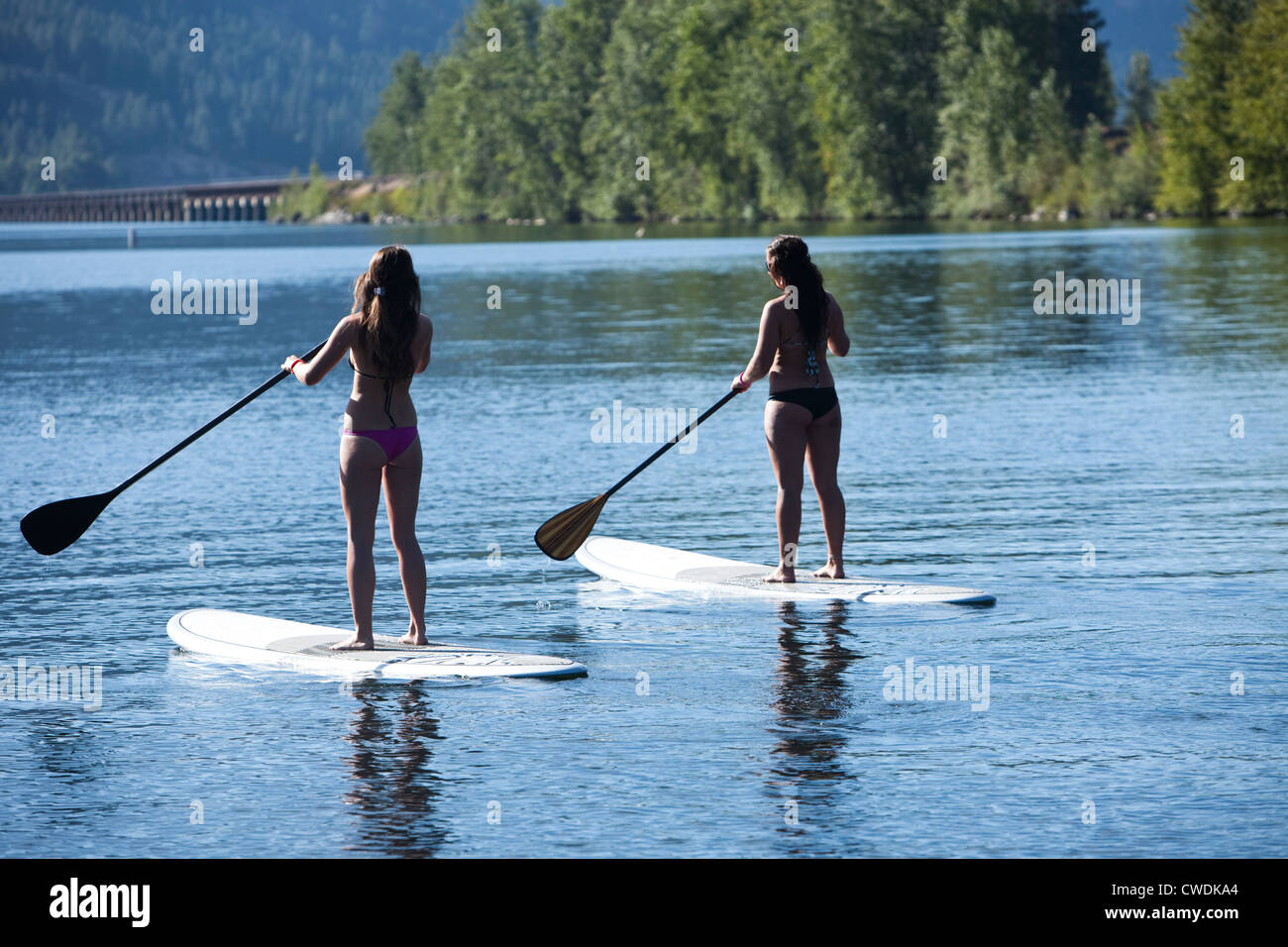 Two athletic young women stand up paddle board on a lake in Idaho on a sunny day. Stock Photo