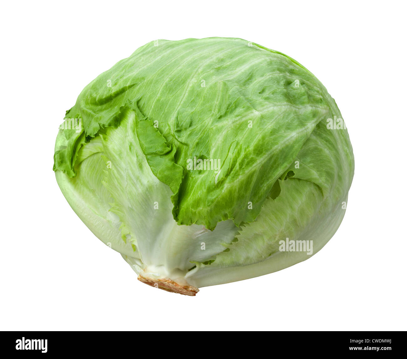 Lettuce Head isolated on white. Stock Photo