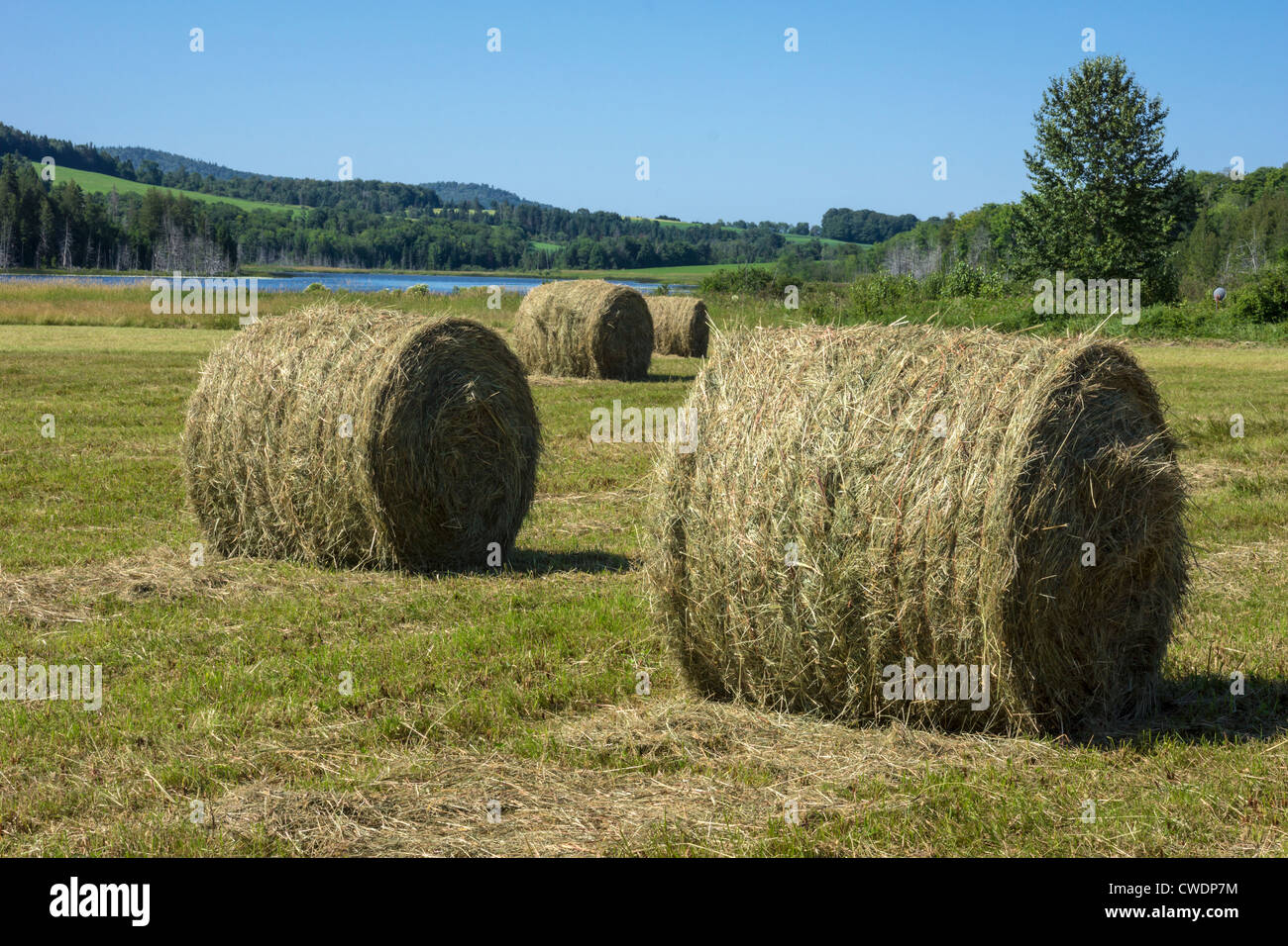 Hay bales in field summer in Vermont Stock Photo - Alamy