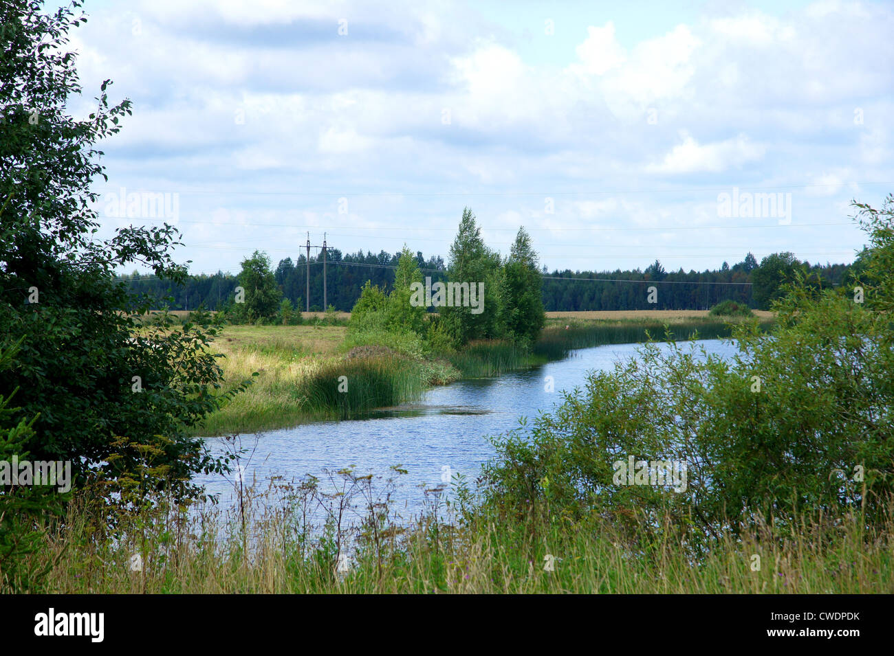 Lake and trees on a background of the blue sky Stock Photo - Alamy