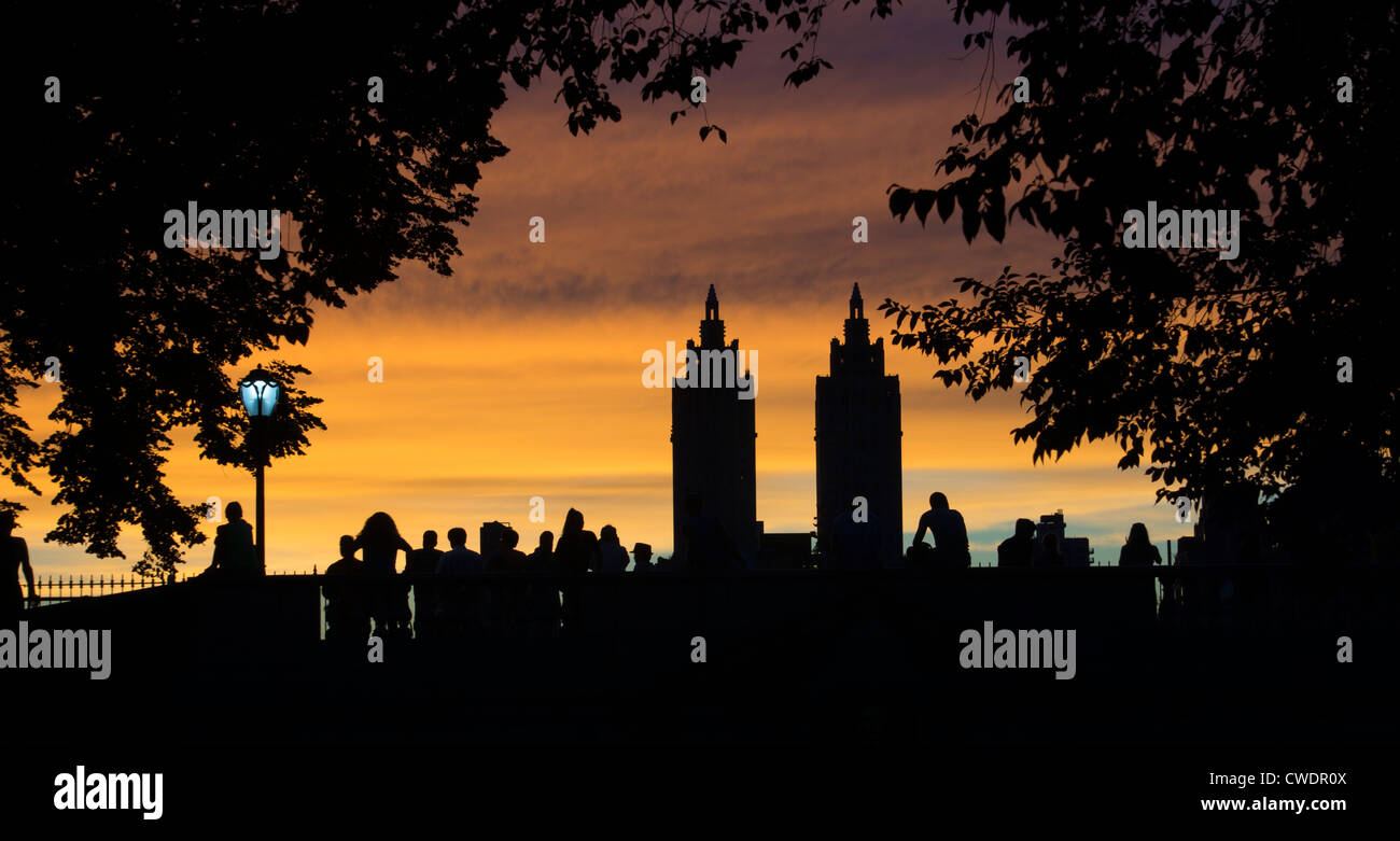 Tree park sunset new york park hi-res stock photography and images - Alamy