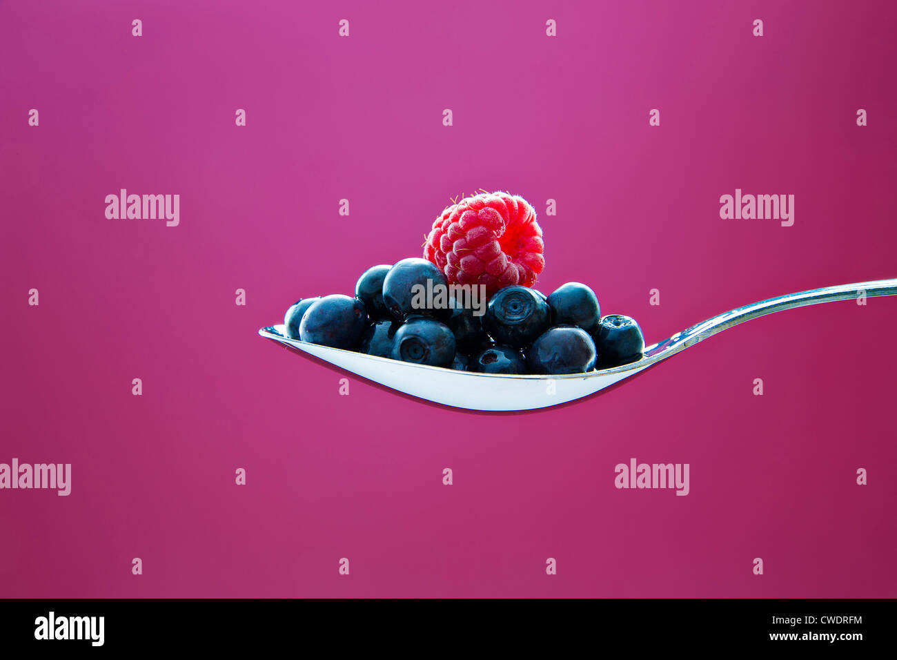 Fresh blueberry and raspberry on metal chromed spoon Stock Photo