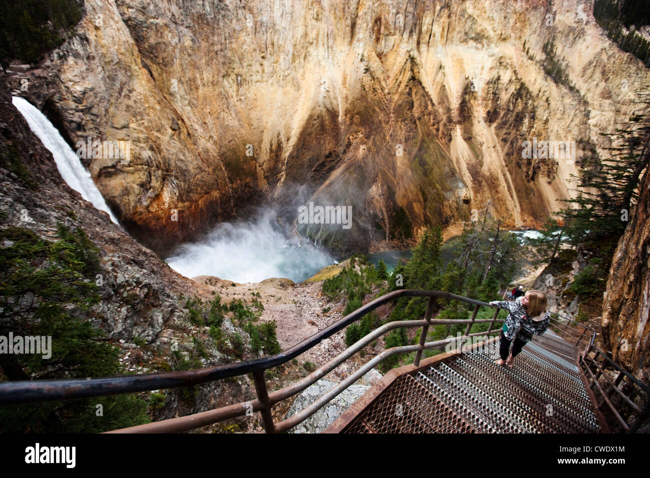 A young woman walks up a narrow stair set winds down to a overlook of Yellowstone Falls in Yellowstone National Park, Wyoming. Stock Photo