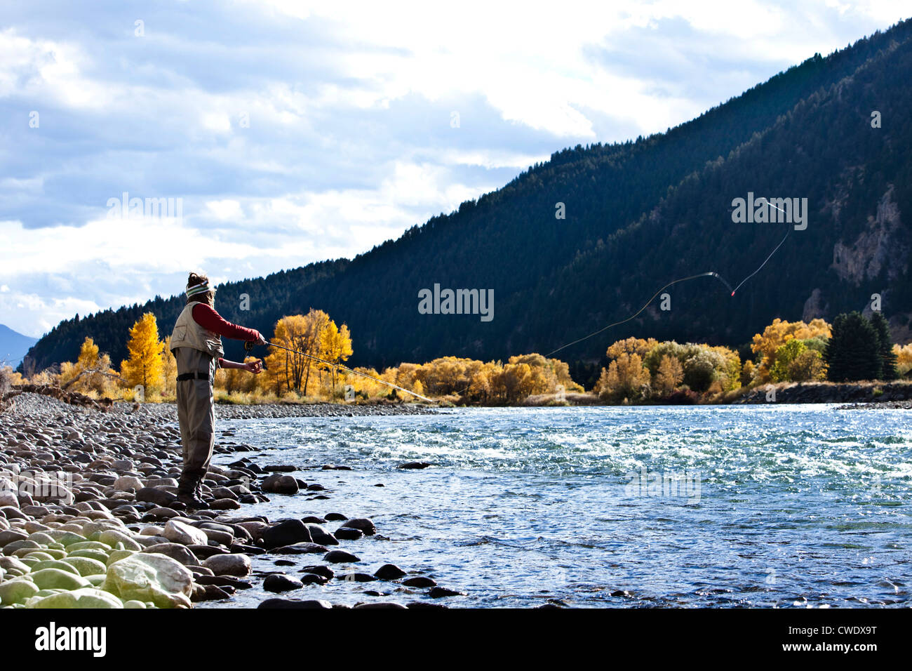 A athletic man fly fishing stands on the banks of a river with the fall colors and snowy mountains behind him in Montana. Stock Photo