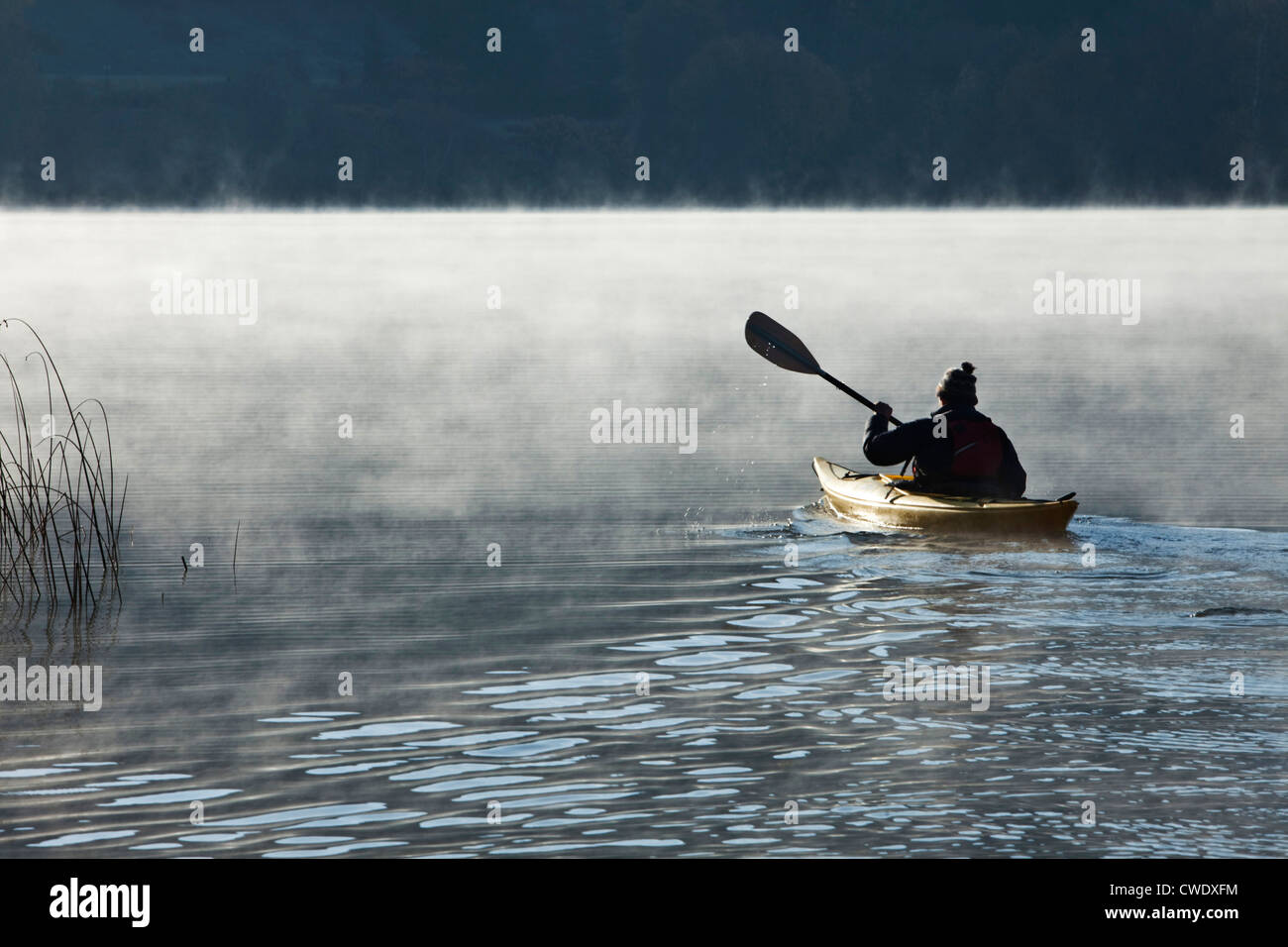 A athletic retired man kayaking at sunrise across a foggy lake in Idaho. Stock Photo
