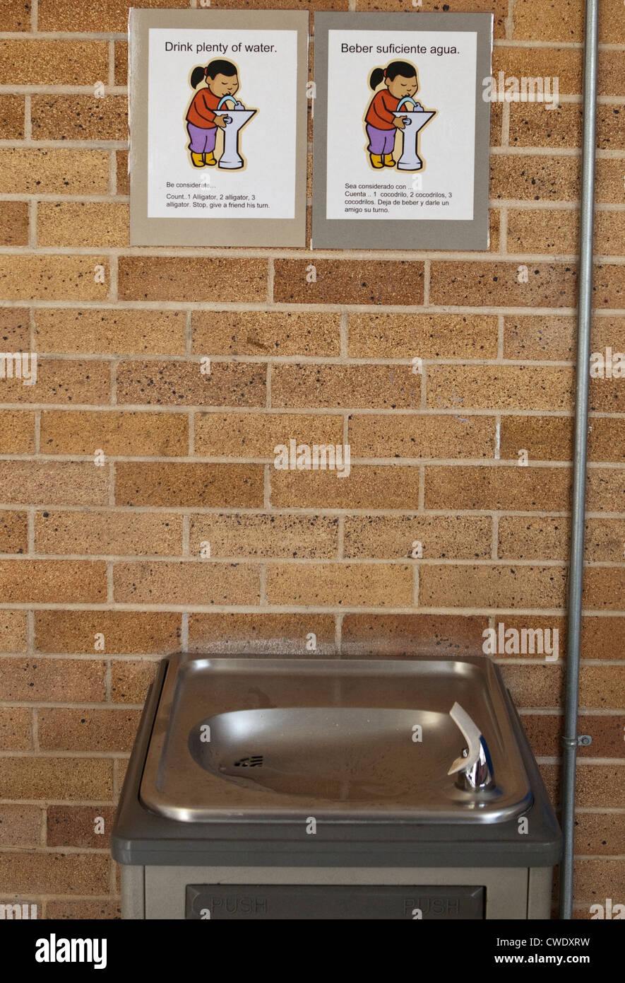 Bilingual sign in English and Spanish on wall of Elementary School in Austin, Texas instructs students to drink plenty of water Stock Photo