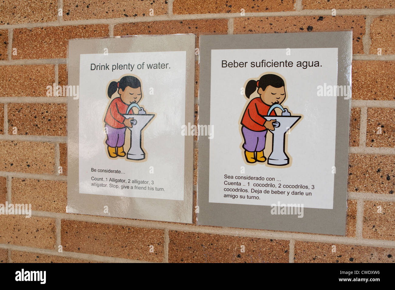 Bilingual sign in English and Spanish on wall of Elementary School in Austin, Texas instructs students to drink plenty of water Stock Photo