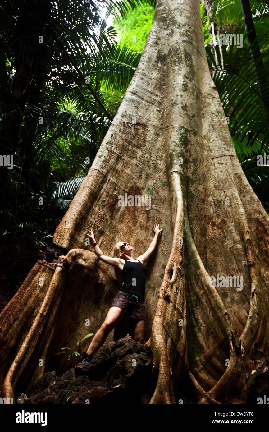 A beautiful young woman holding her hands against a huge tree deep in the jungle in Thailand. Stock Photo