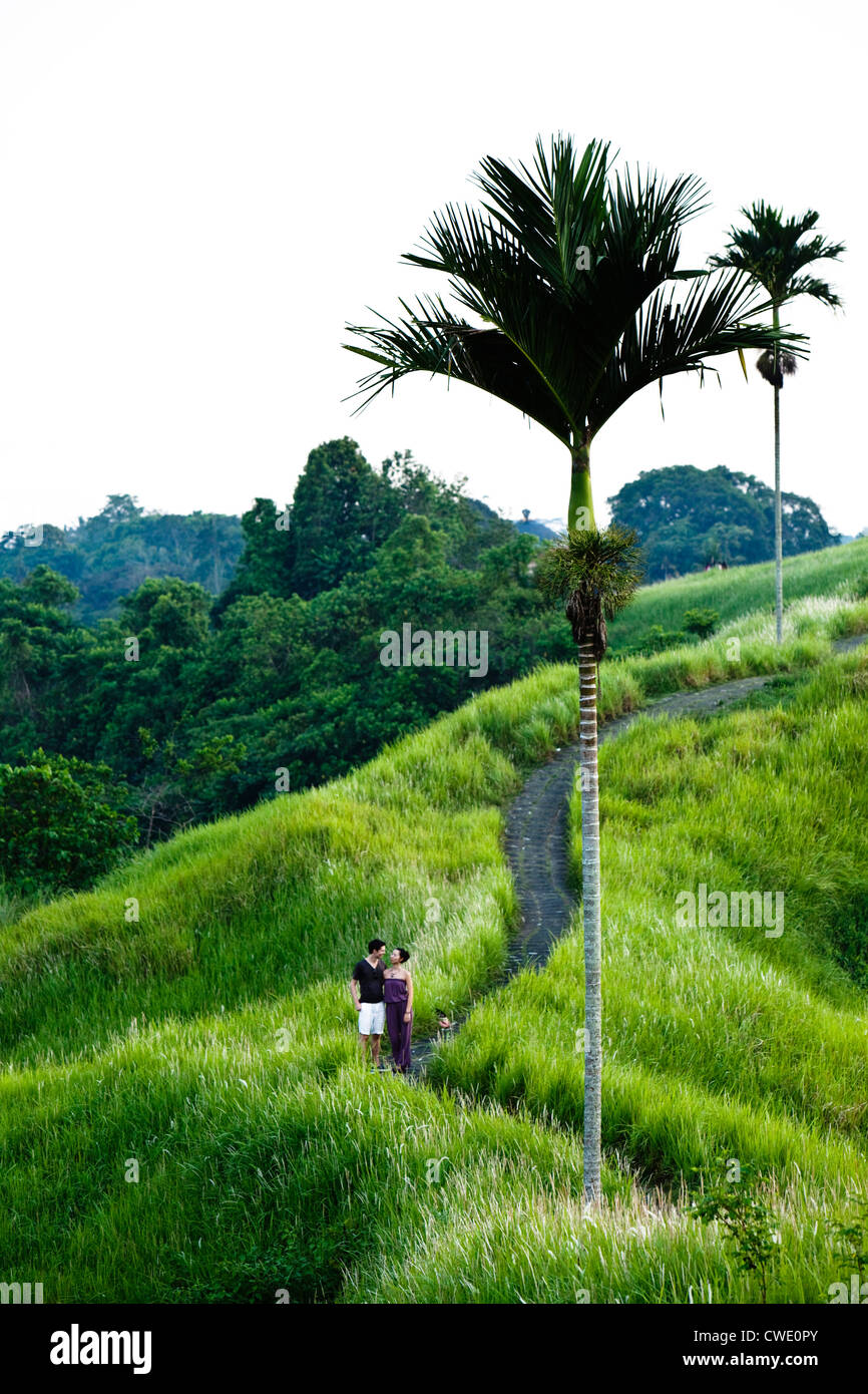 A happy married couple holding hands and kissing in a lush jungle setting in Bali, Indonesia. Stock Photo
