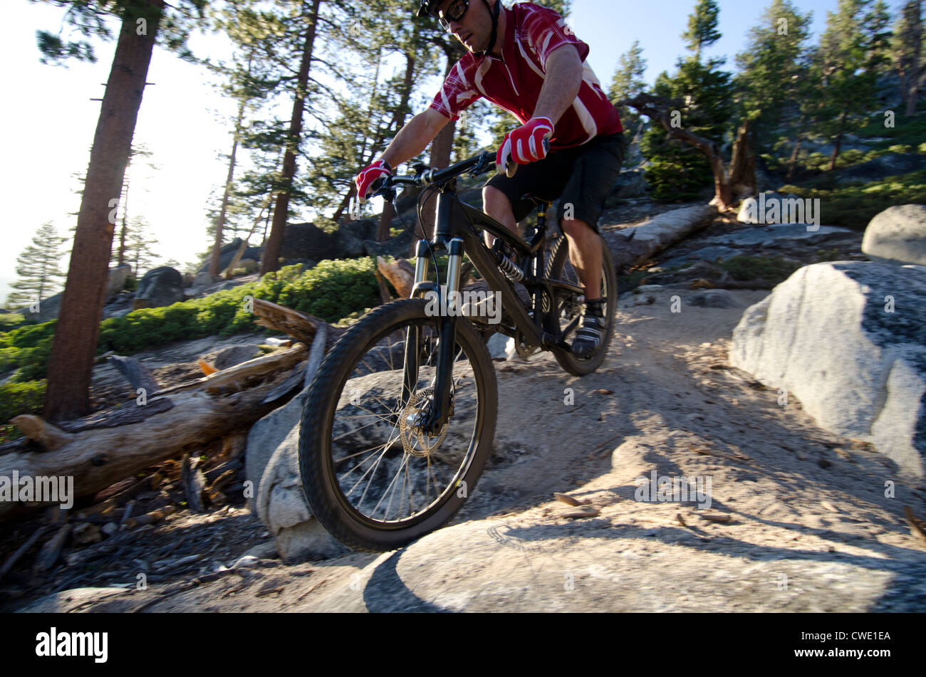 Corral trail tahoe sale