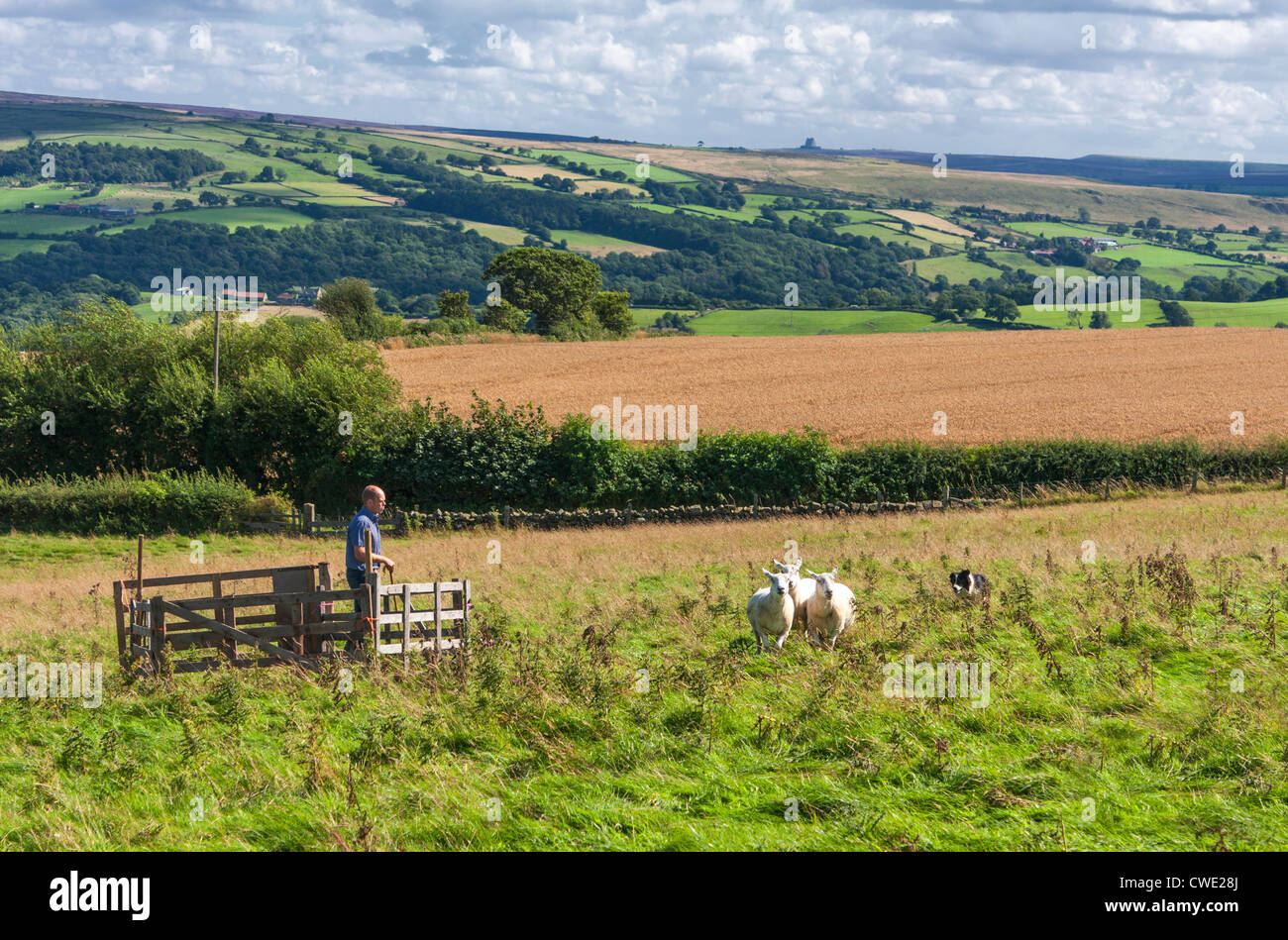 Egton Village agricultural show, near Whitby, North Yorkshire. Stock Photo