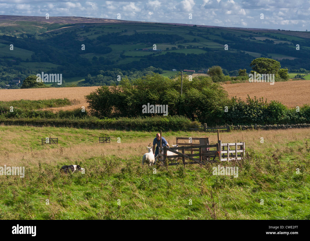Egton Village agricultural show, near Whitby, North Yorkshire. Stock Photo
