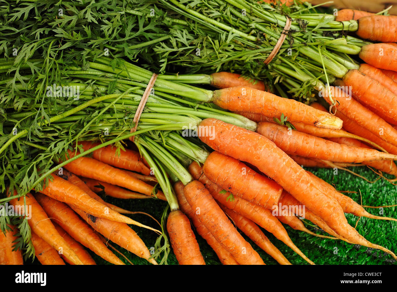 Gresh bunches of carronts Stock Photo