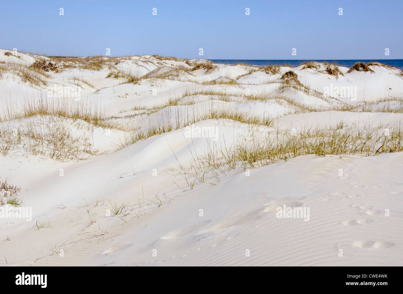 Sand dunes stretching to horizon in Currituck County, Outer Banks, North Carolina Stock Photo