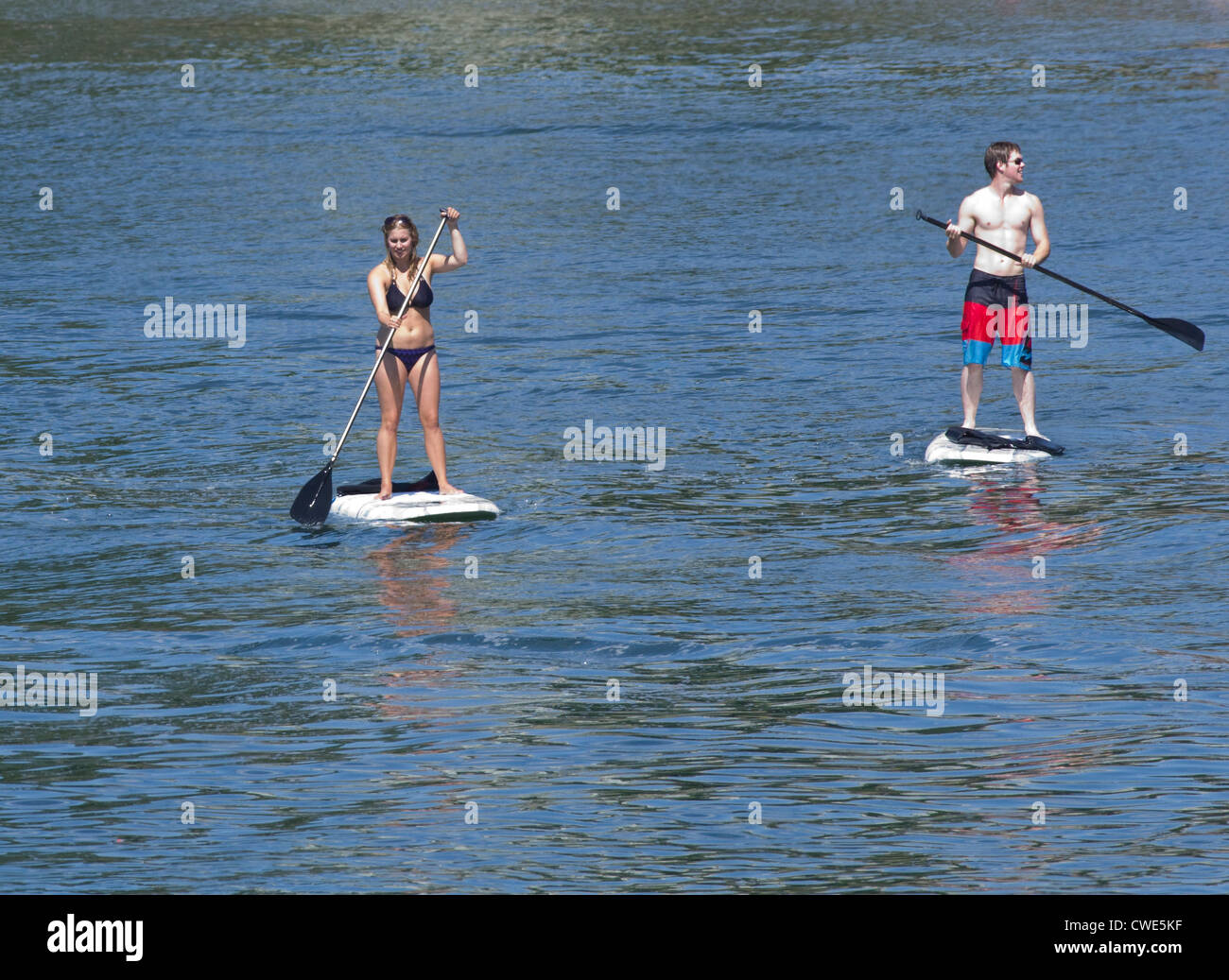 couple on paddle boards in English bay Vancouver Canada Stock Photo