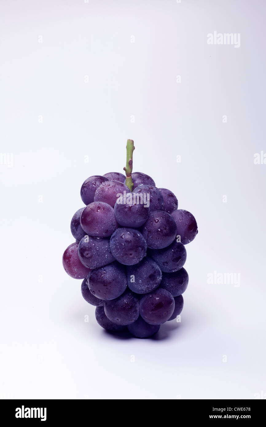Group Of Fresh Grapes Stock Photo Alamy