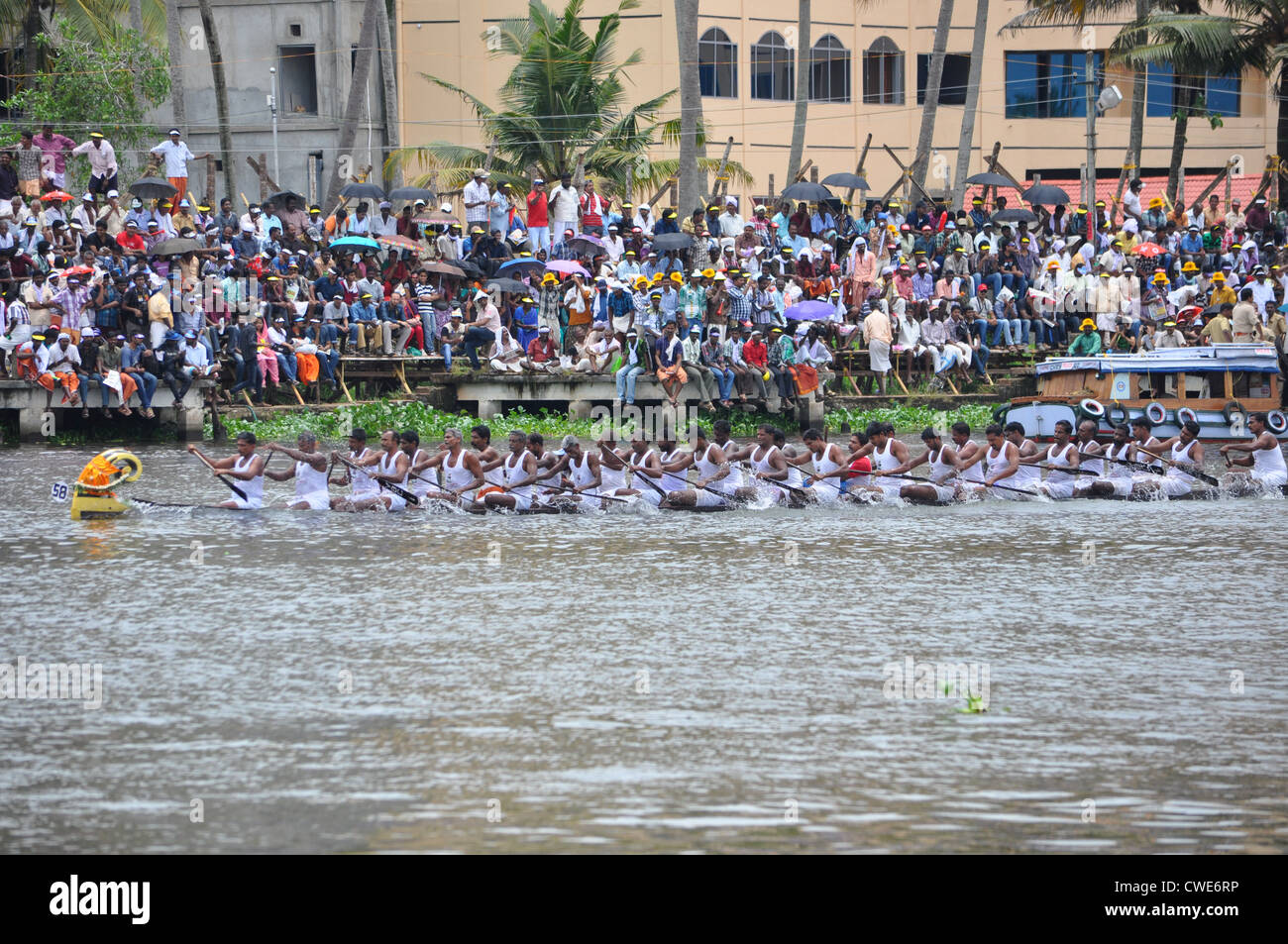 Nehru Boat Race 2012 Stock Photo - Alamy