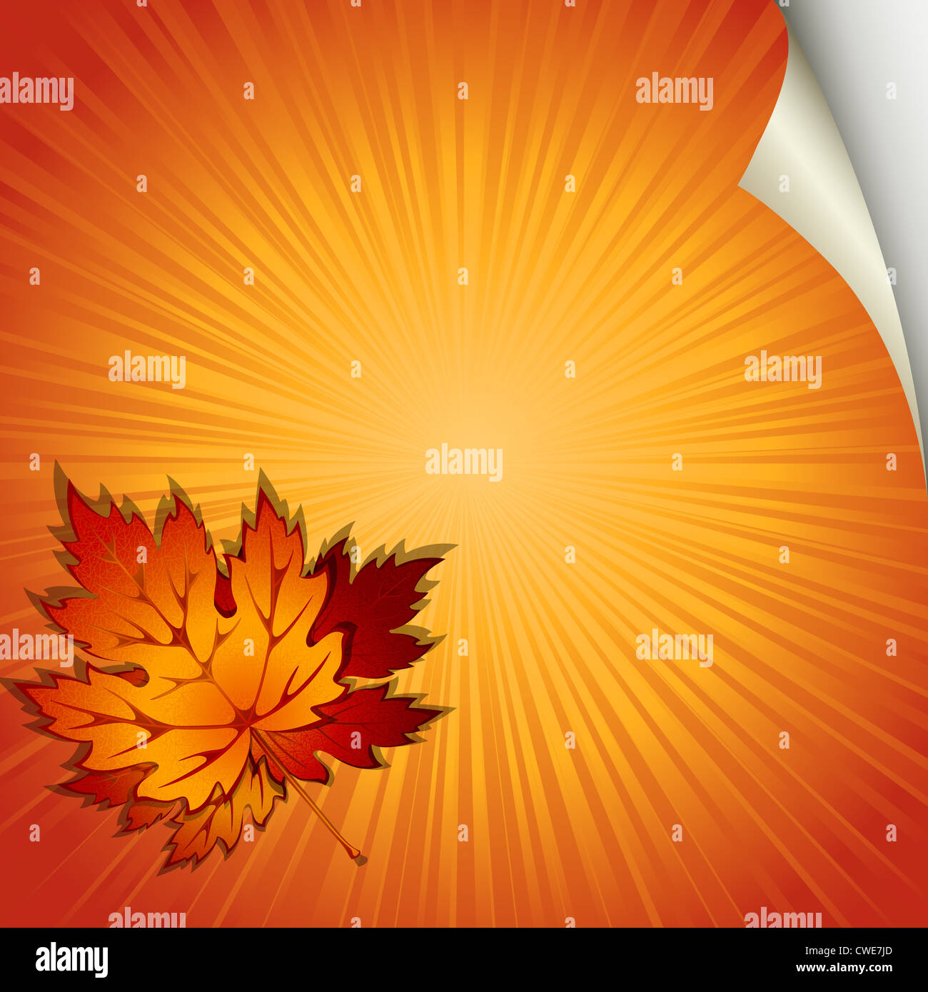 Autumn orange background with maple leaves Stock Photo - Alamy