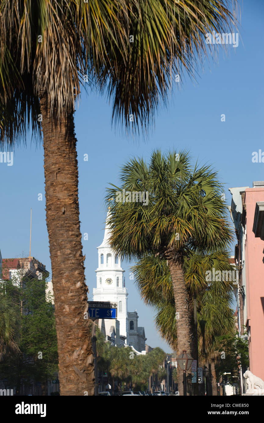 PALM TREES BROAD STREET DOWNTOWN CHARLESTON SOUTH CAROLINA USA Stock Photo