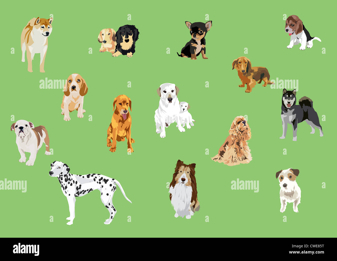 Illustration Of Different Dogs On Green Background Stock Photo Alamy