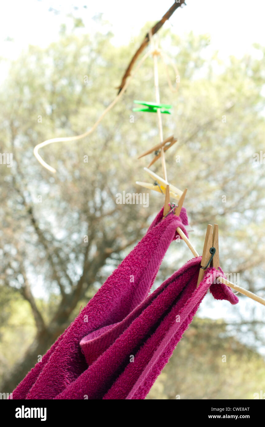 Clothes dryer on tree branch. Forest camping Stock Photo Alamy