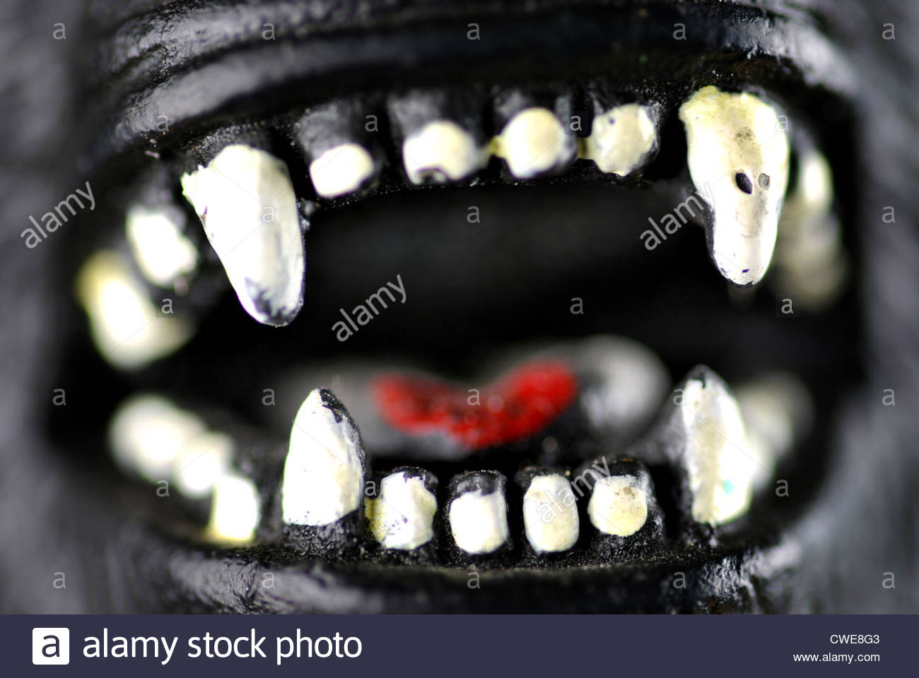 Parts Of The Tongue Stock Photos & Parts Of The Tongue Stock Images - Alamy