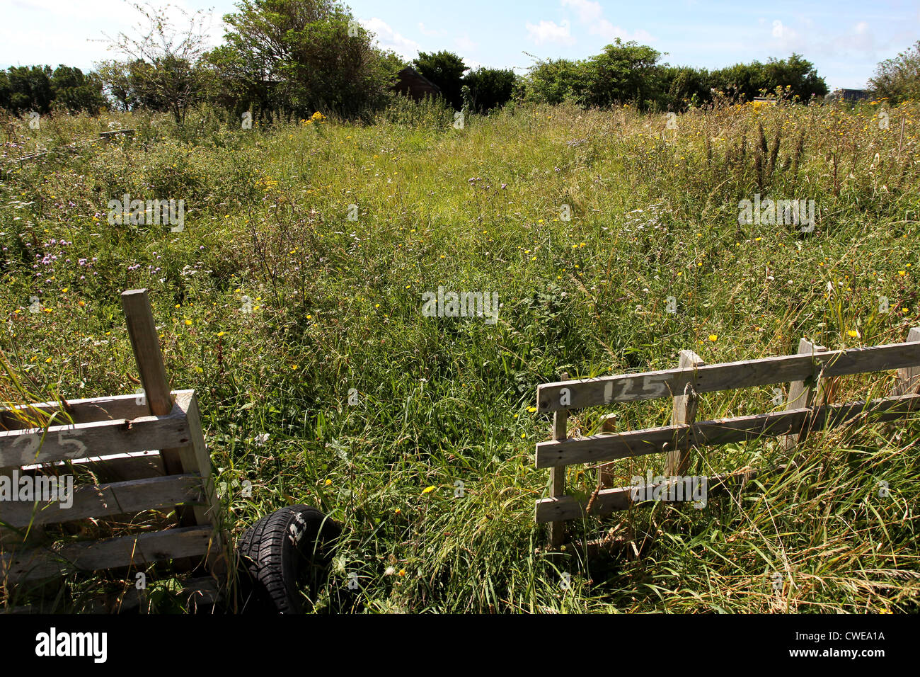 An empty unused allotment space in Brighton, East Sussex, UK. Stock Photo