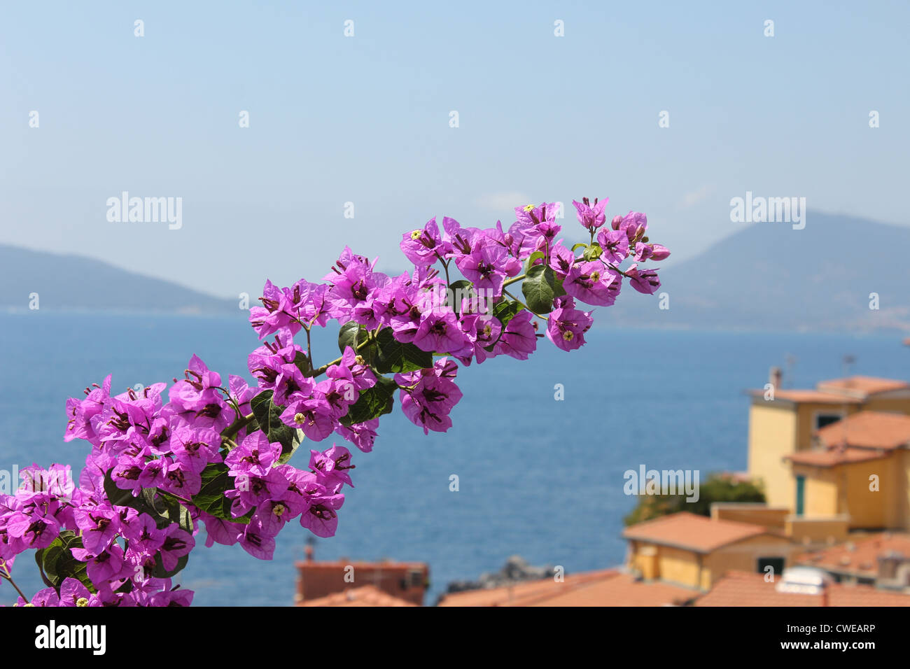 Seaview with flower over Mediterranean village Stock Photo