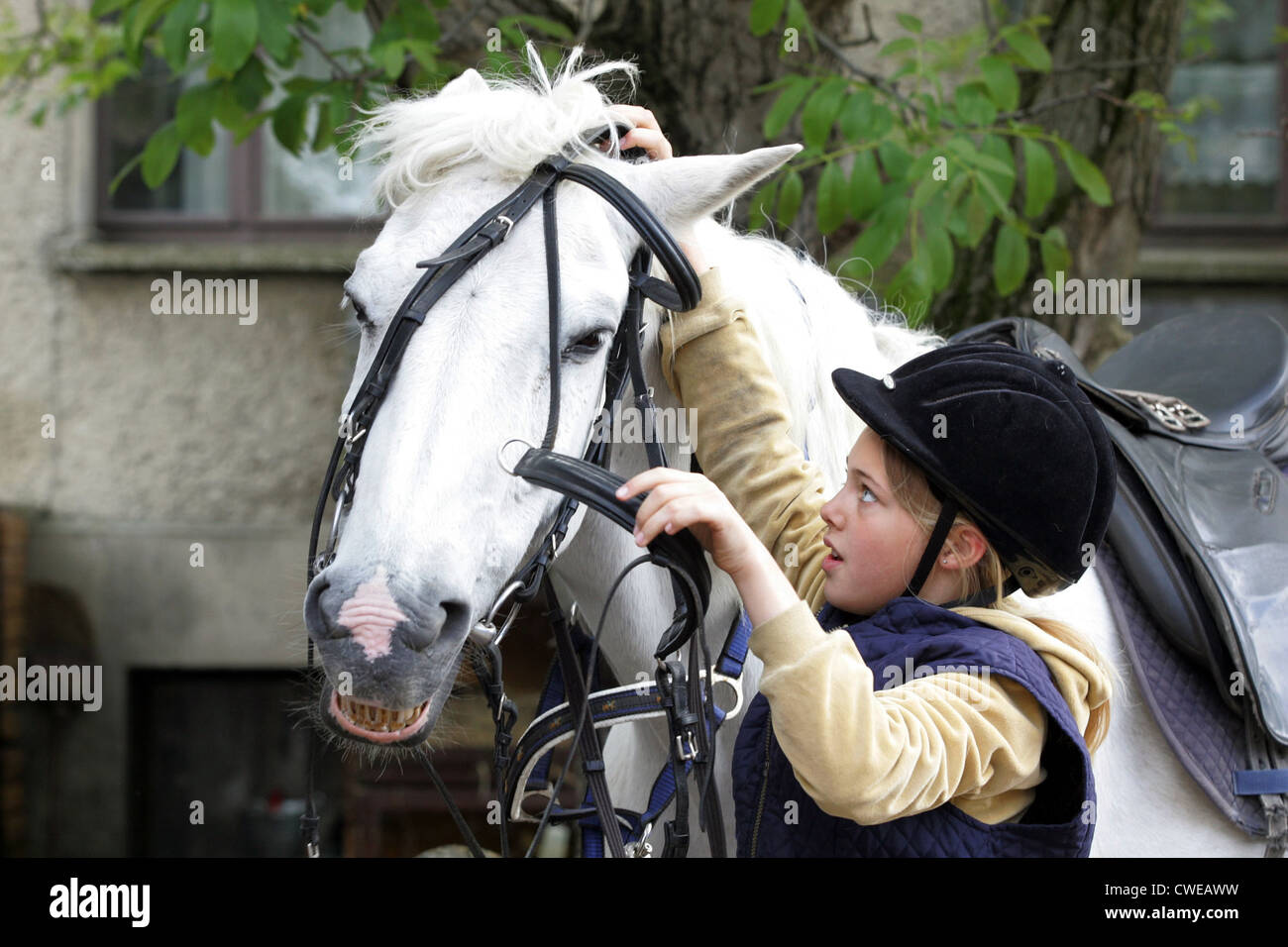 Wandlitz, a girl on her pony bridles Stock Photo
