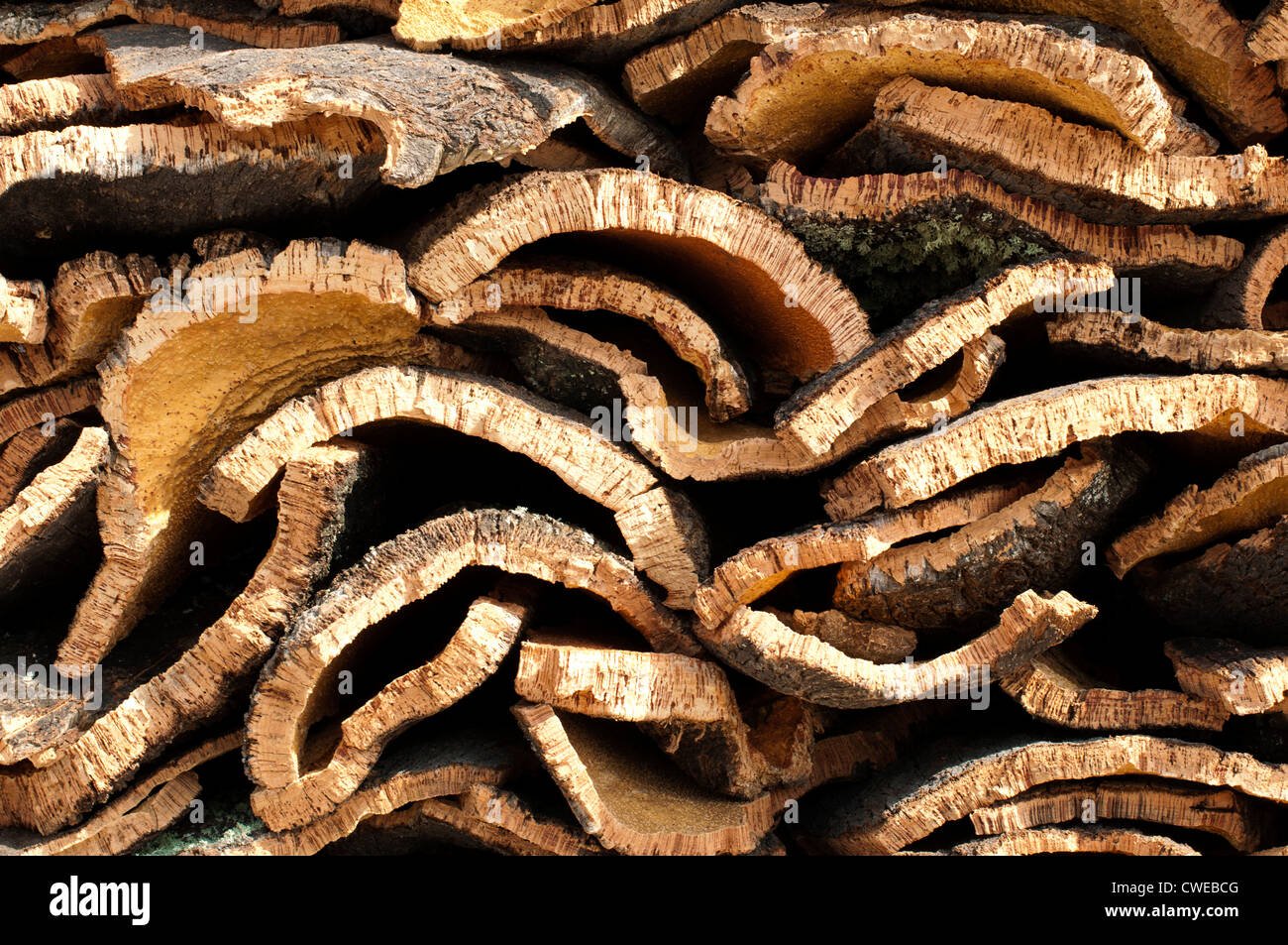 Cork crust. Natural piece of wood Stock Photo Alamy