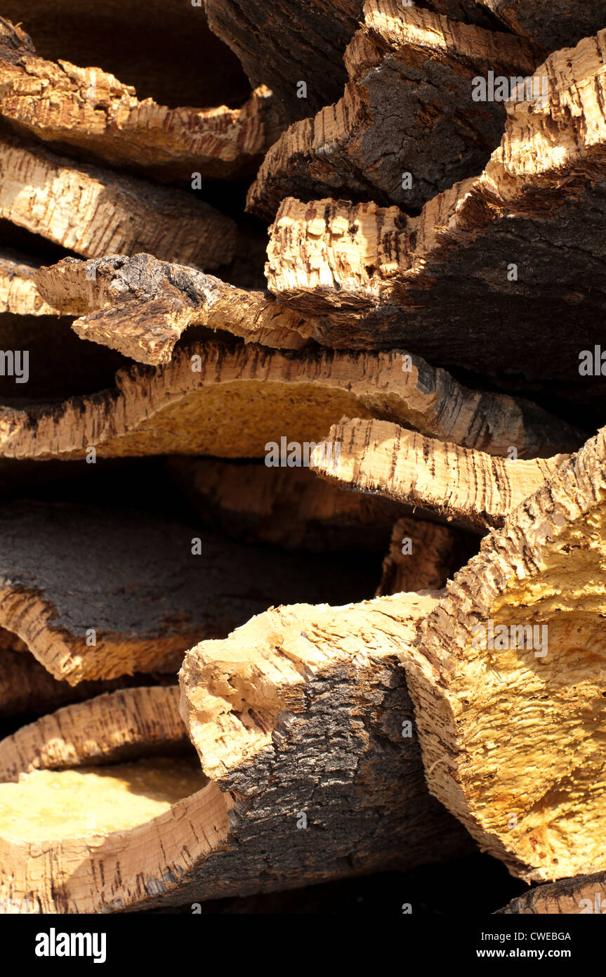 Cork crust. Natural piece of wood Stock Photo Alamy