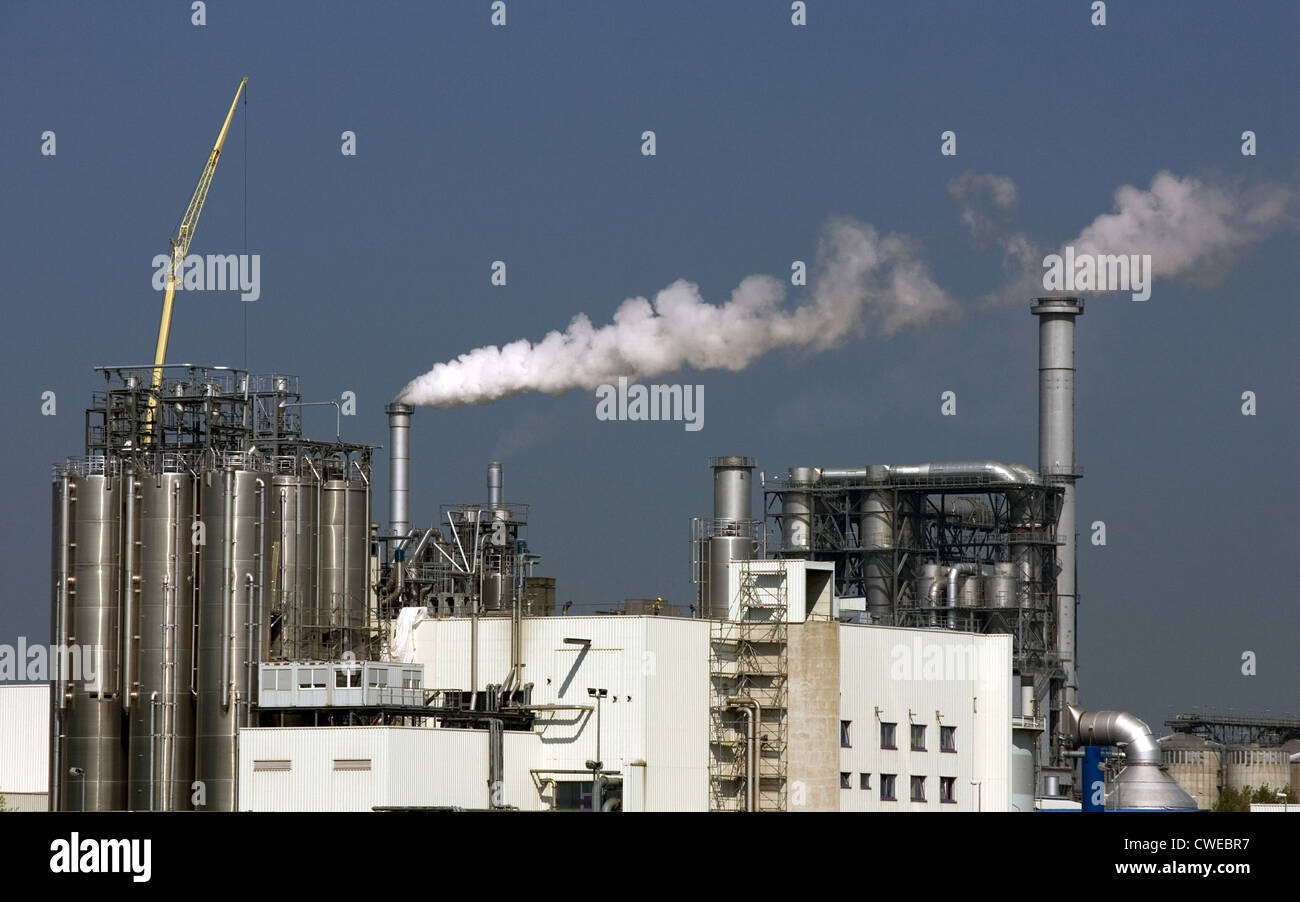 Wismar, smoking chimneys in the port of Klausner Nordic Timber GmbH & Co. KG Stock Photo