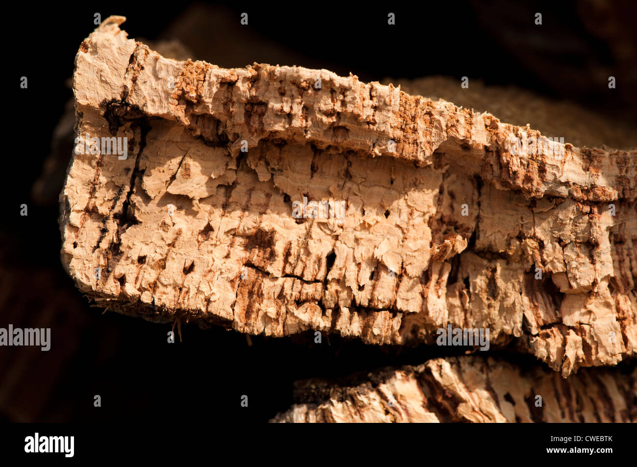 Cork crust. Natural piece of wood Stock Photo Alamy
