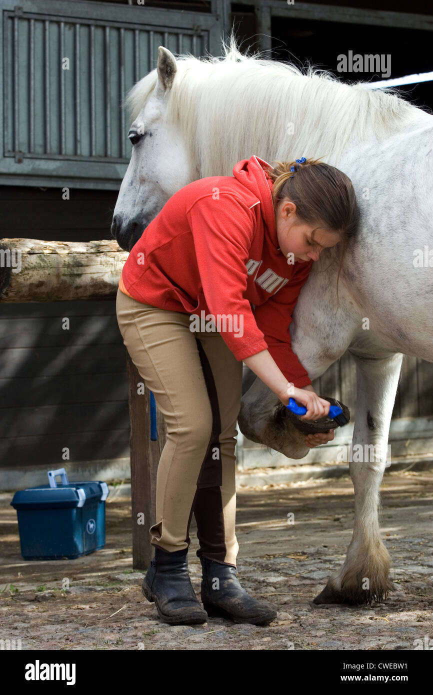 Wandlitz, a girl scrapes her pony from the hooves Stock Photo