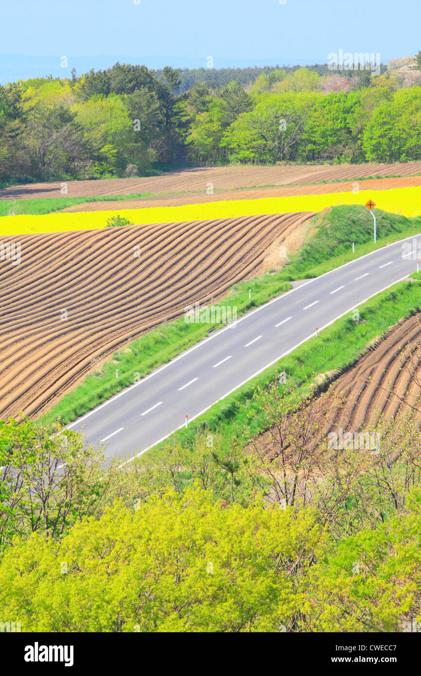 Country Road And Cultivated Land Stock Photo