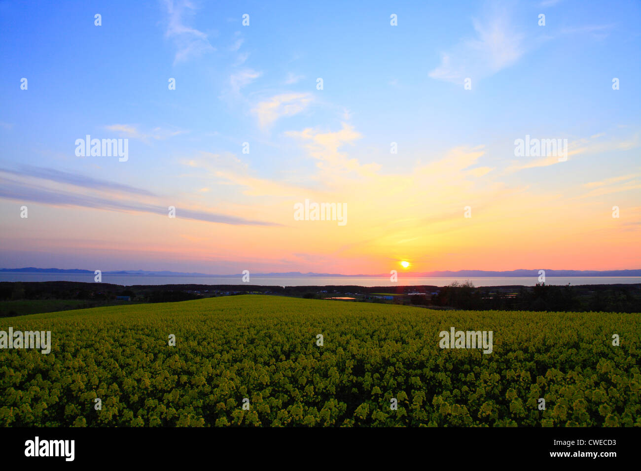Majestic View Of Sunset Over Lush Forest Stock Photo