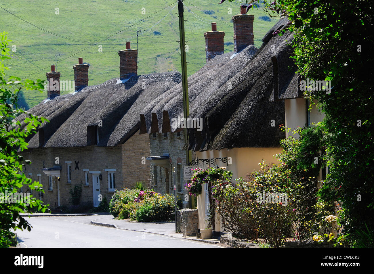 A View Of Thatched Cottages West Lulworth Dorset Uk Stock Photo