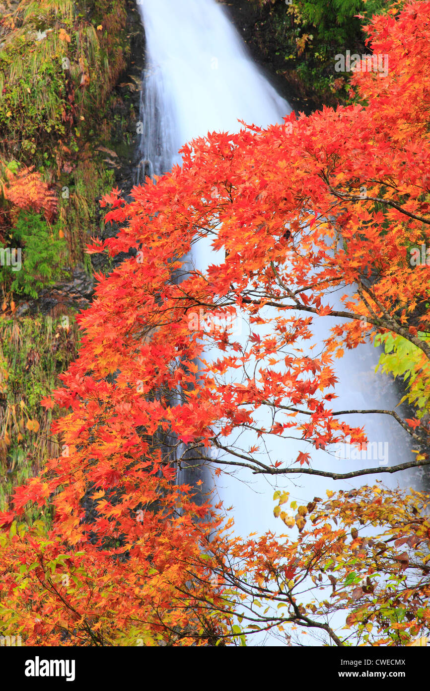 Red Maple Leaves And Waterfall In Background Stock Photo