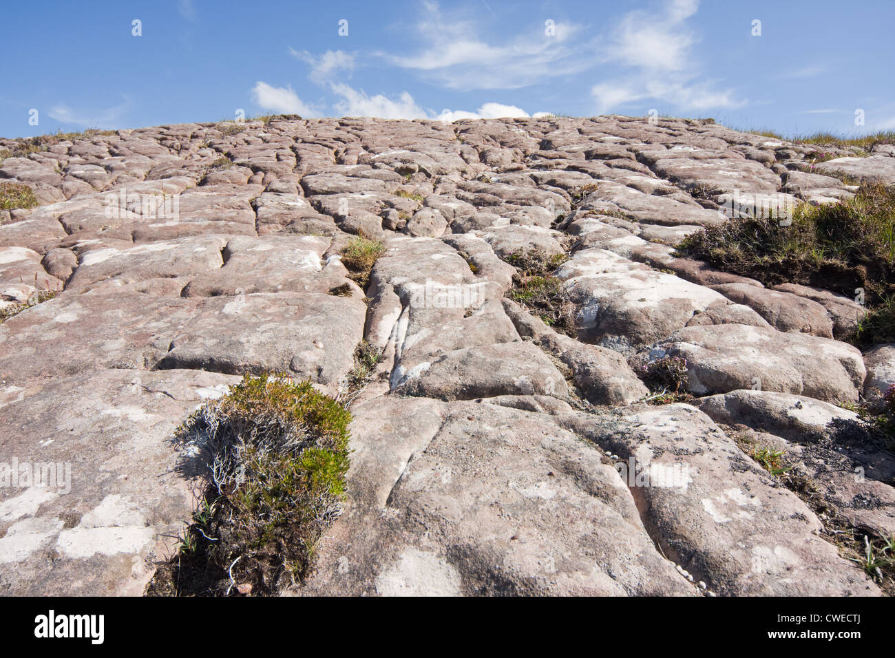 Grey, weathered rock, with old glacial grooves, some heather growing on it. Stock Photo