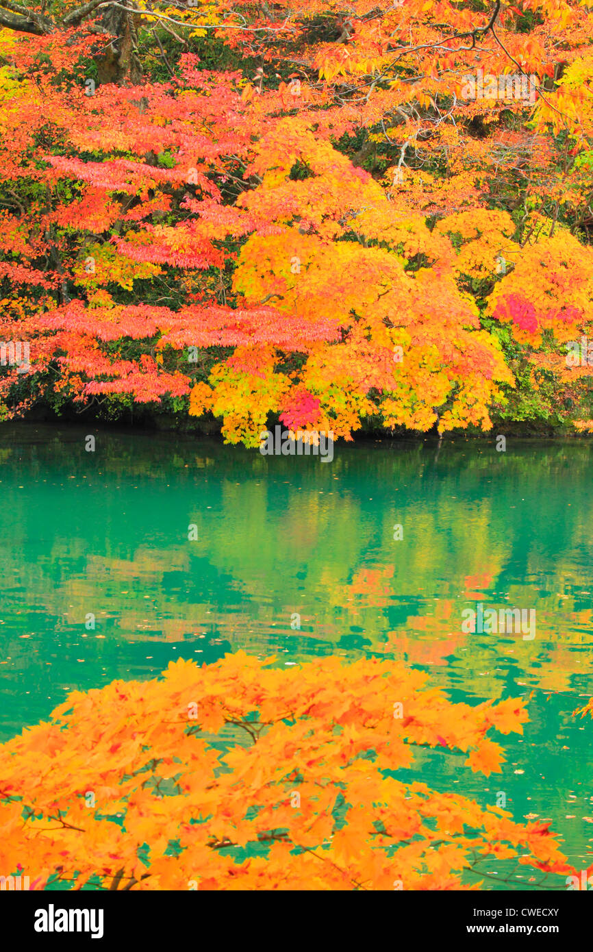 Autumn Trees Reflecting In Still Water Stock Photo