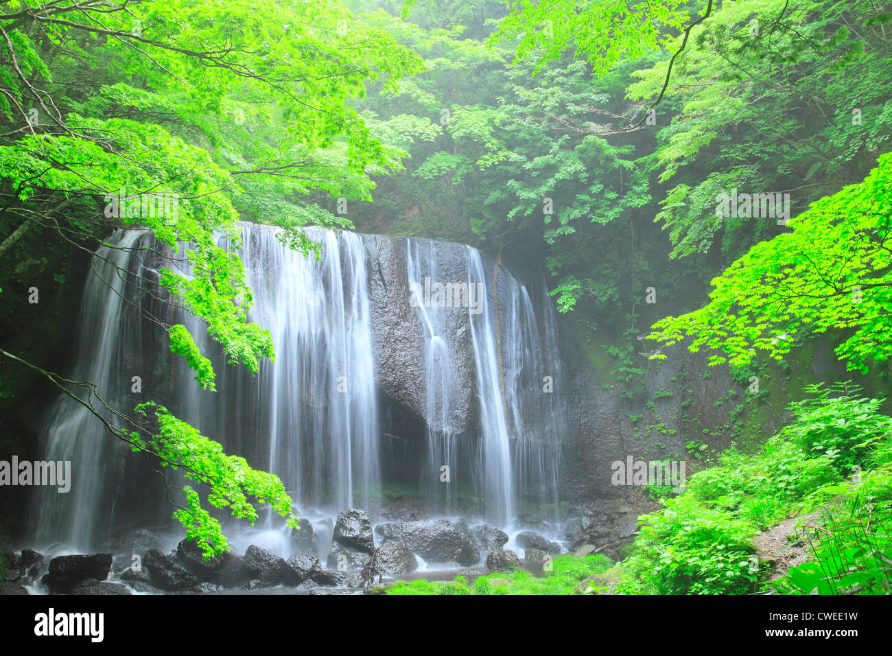 Waterfalls In Lush Forest Stock Photo