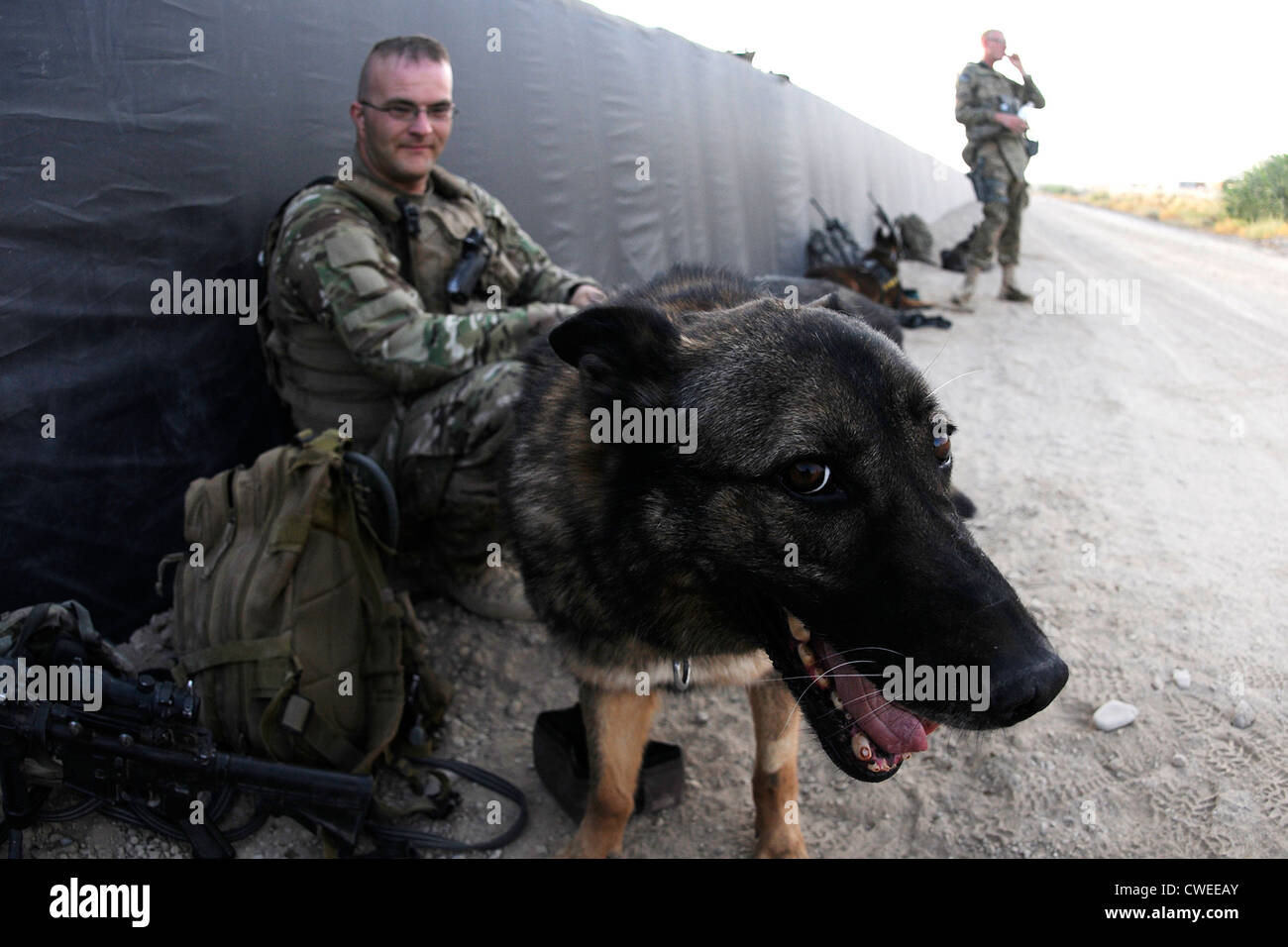 US Air Force Tech. Sargent Matthew Mosher, a Military Working Dog handler, and his dog, Zix, a Patrol Explosive Detection dog, prior to early-morning training on July 9, 2012 at Kandahar Airfield, Afghanistan. The handlers and their dogs rotate through Kandahar Airfield for validation prior to moving out to Forward Operating Bases around the country where they will lead combat foot patrols and sniff out IEDs and other explosives. Stock Photo