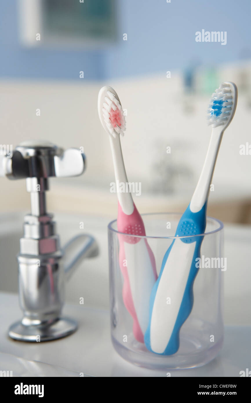 Toothbrushes in bathroom Stock Photo Alamy
