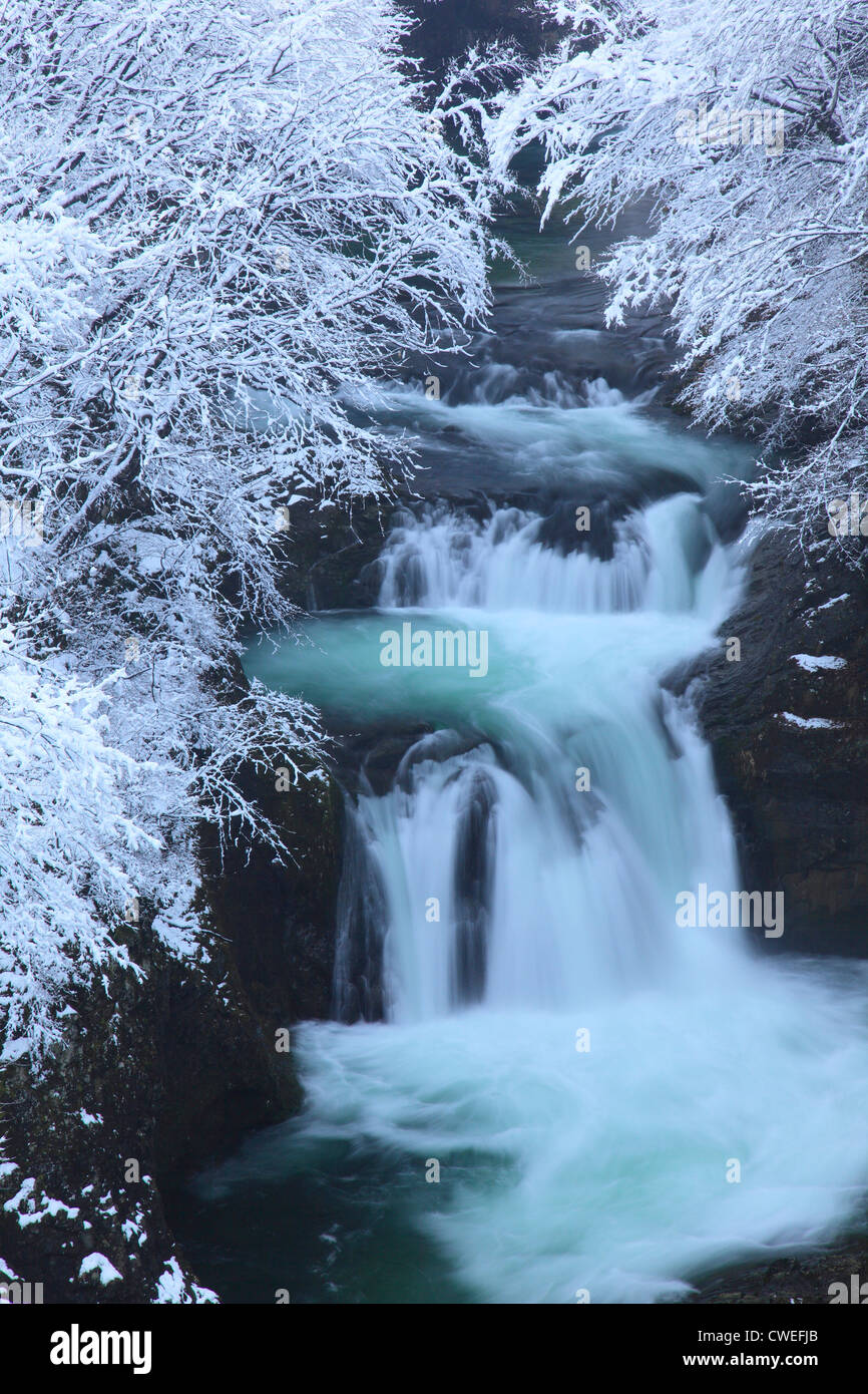 Waterfalls And Snowy Twigs In Winter Stock Photo