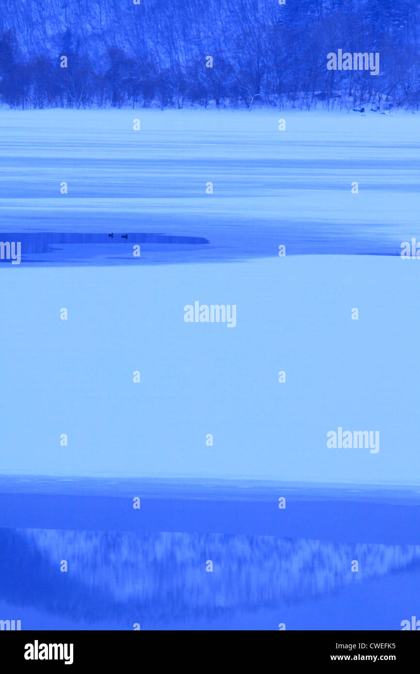 Frozen Lake In Winter Season Stock Photo Alamy