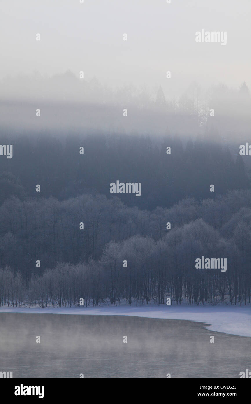 Foggy Trees And Lake, Winter Stock Photo