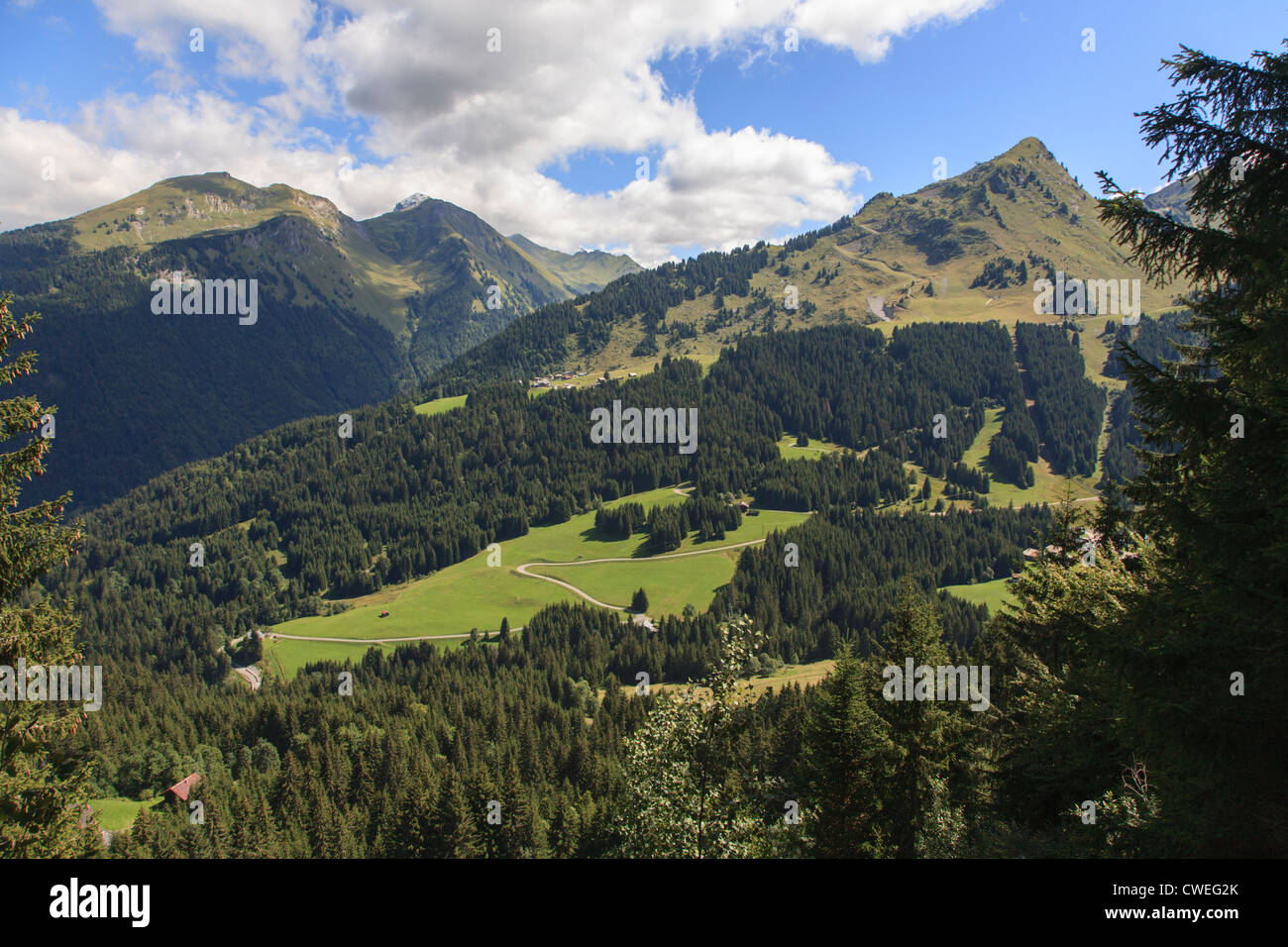 Zig zag track in the French Alps Stock Photo