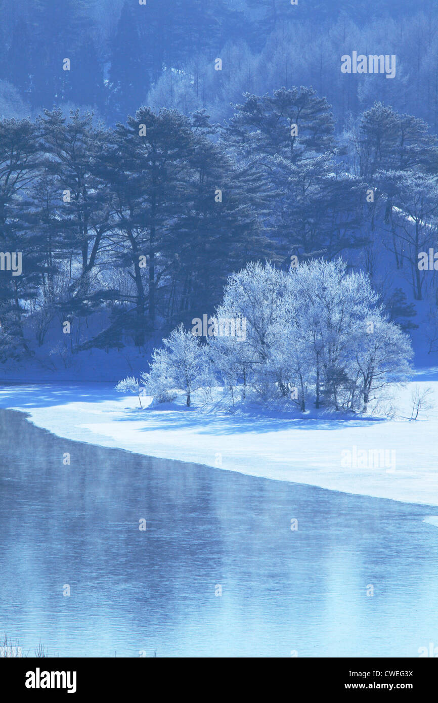 Trees And Lake In Winter Stock Photo